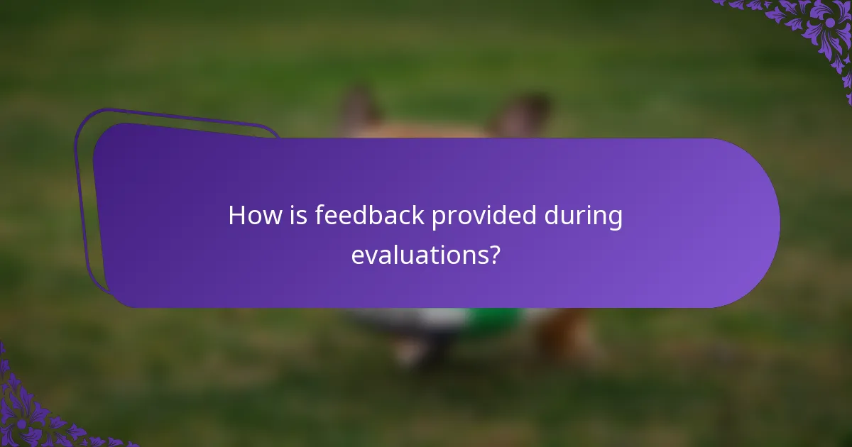 How is feedback provided during evaluations?