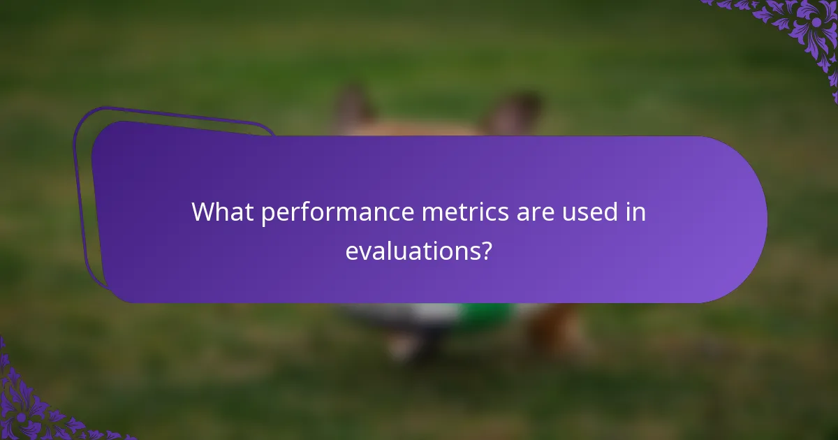 What performance metrics are used in evaluations?