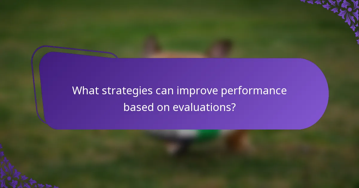 What strategies can improve performance based on evaluations?